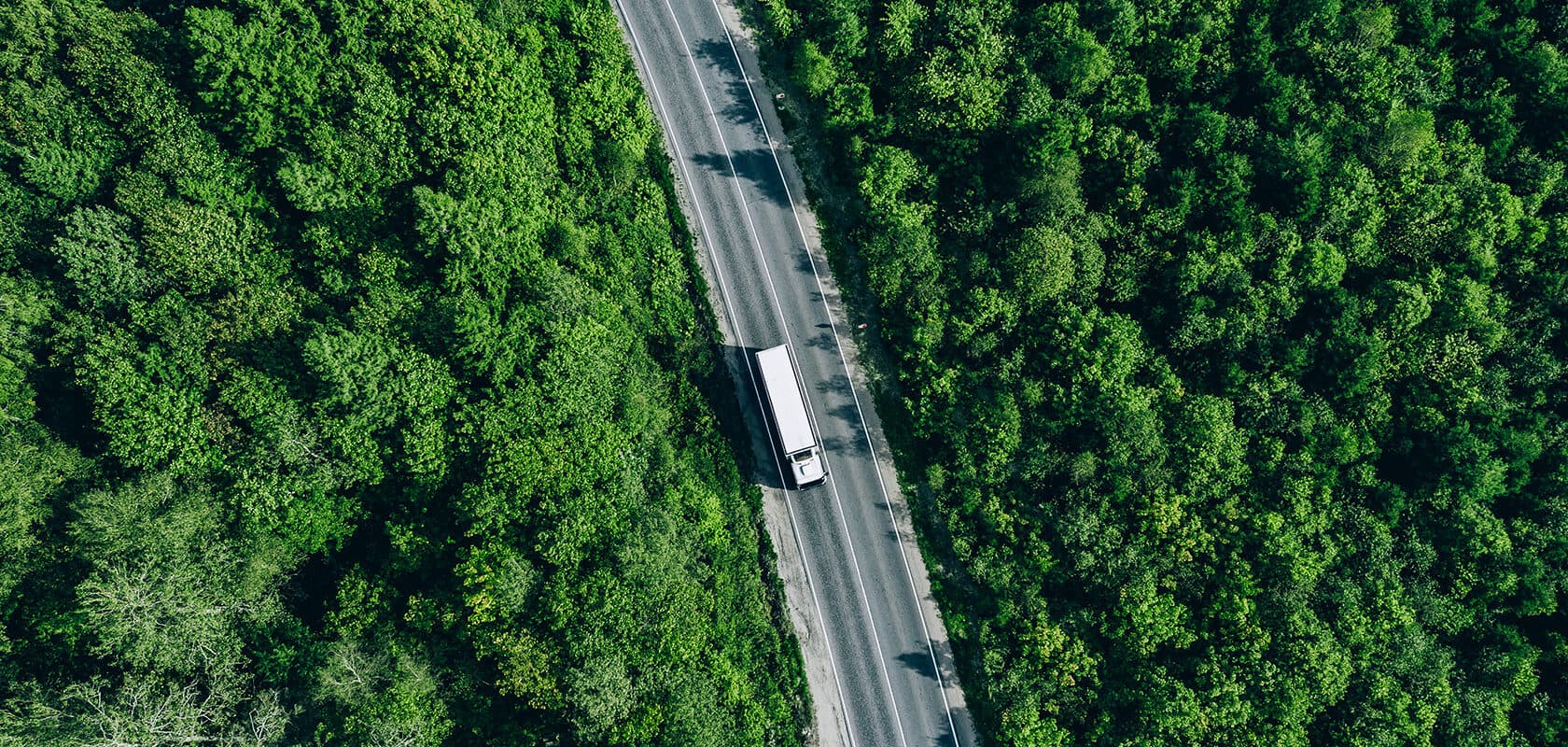 Vrachtwagen op een weg door een bosgebied